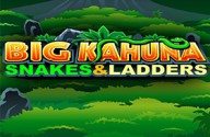 Big Kahuna - Snakes & Ladders