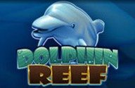 Dolphin Reef