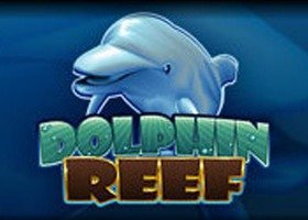 Dolphin Reef