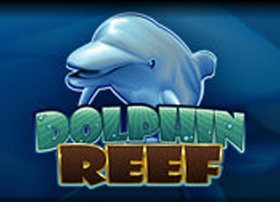 Dolphin Reef