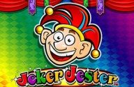 Joker Jester