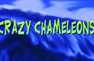 Crazy-Chameleons