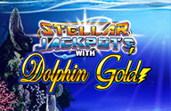 Dolphin Gold Slots Stellar Jackpots